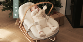 Baby Bouncer - All in one
